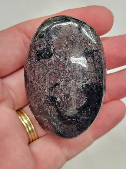 Palm - Garnet in Astrophyllite