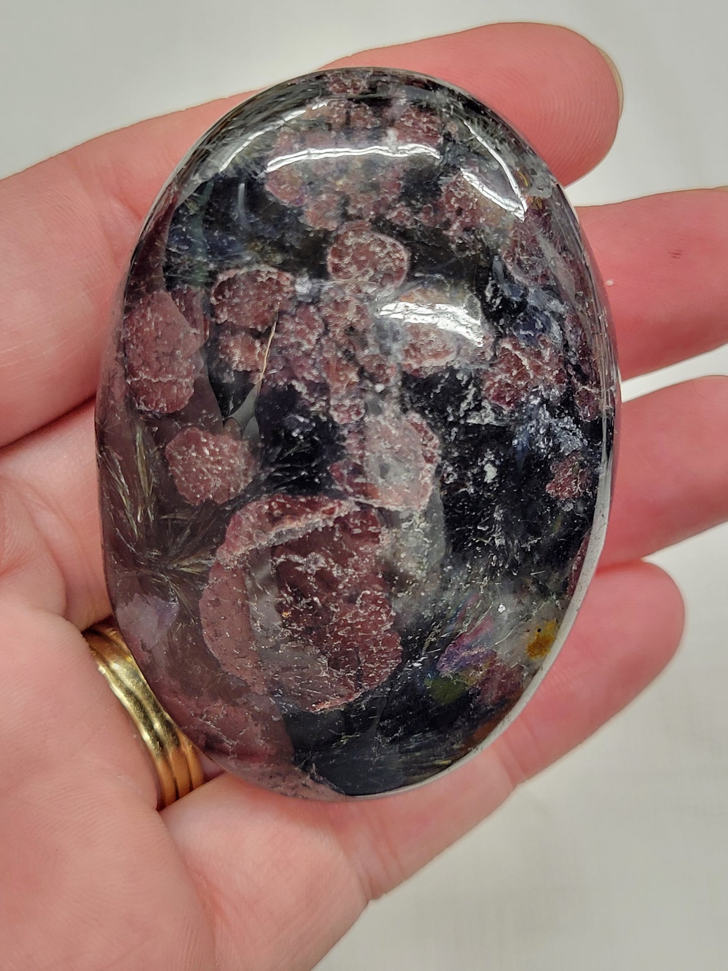 Palm - Garnet in Astrophyllite