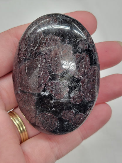 Palm - Garnet in Astrophyllite