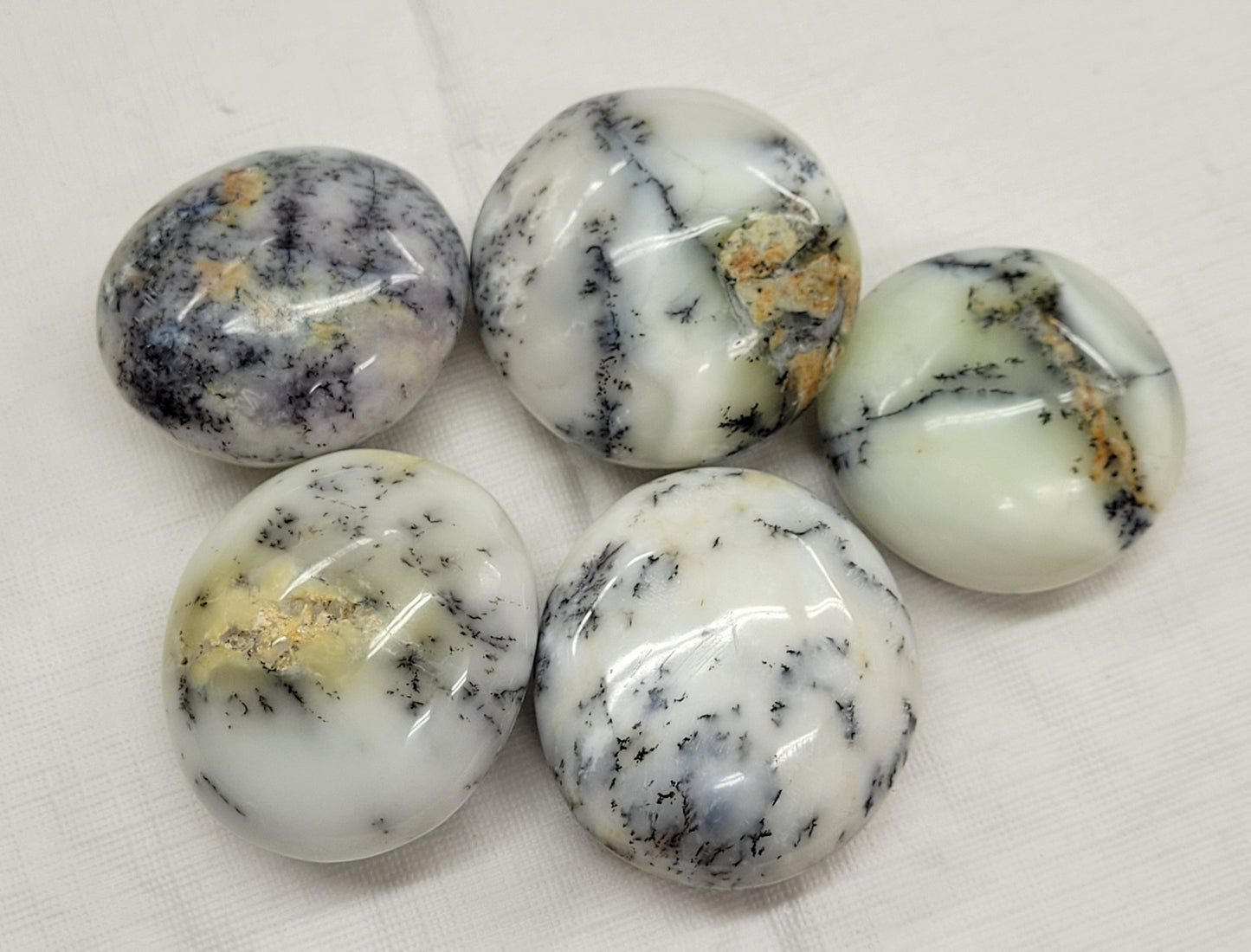 Palm - Dendritic Opal