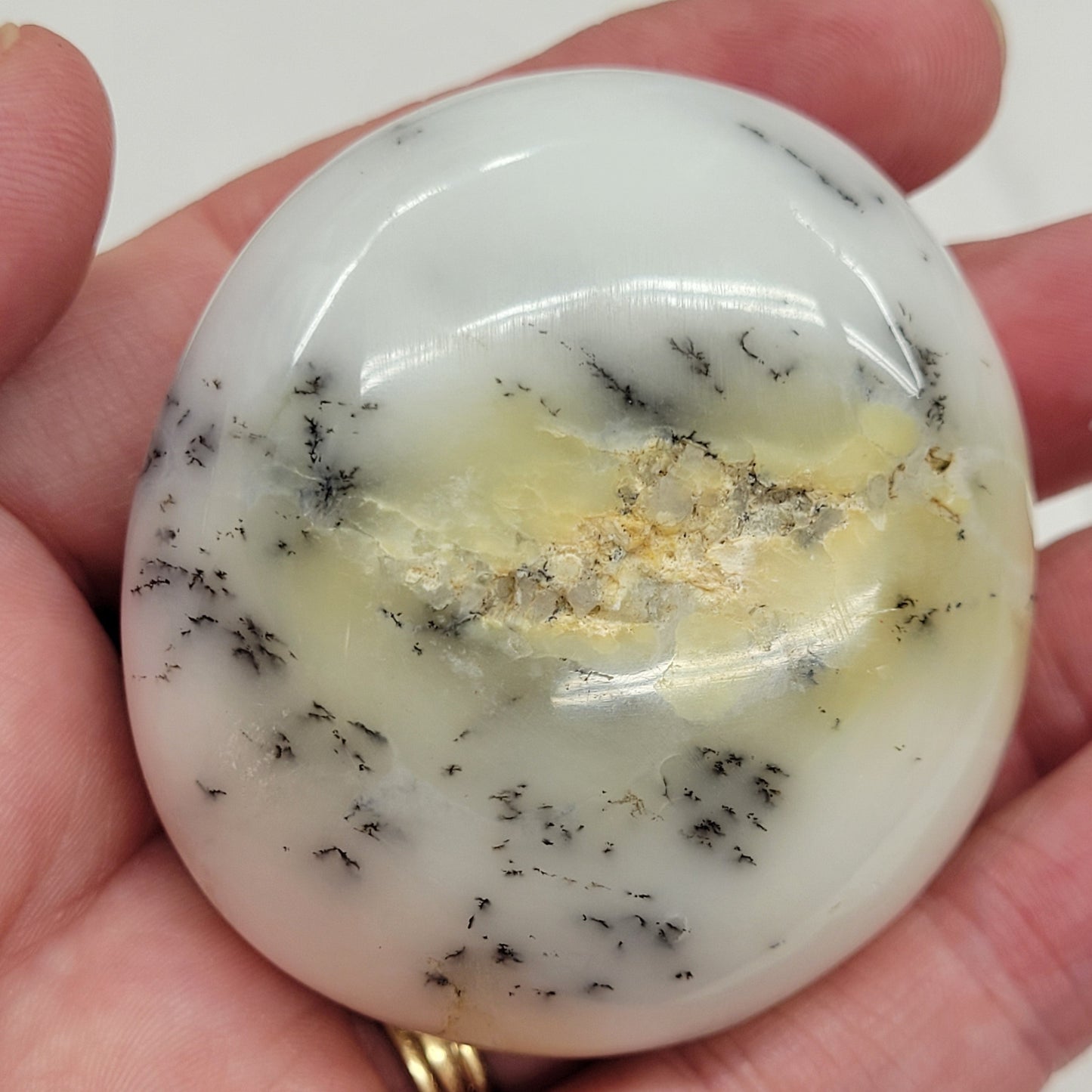 Palm - Dendritic Opal