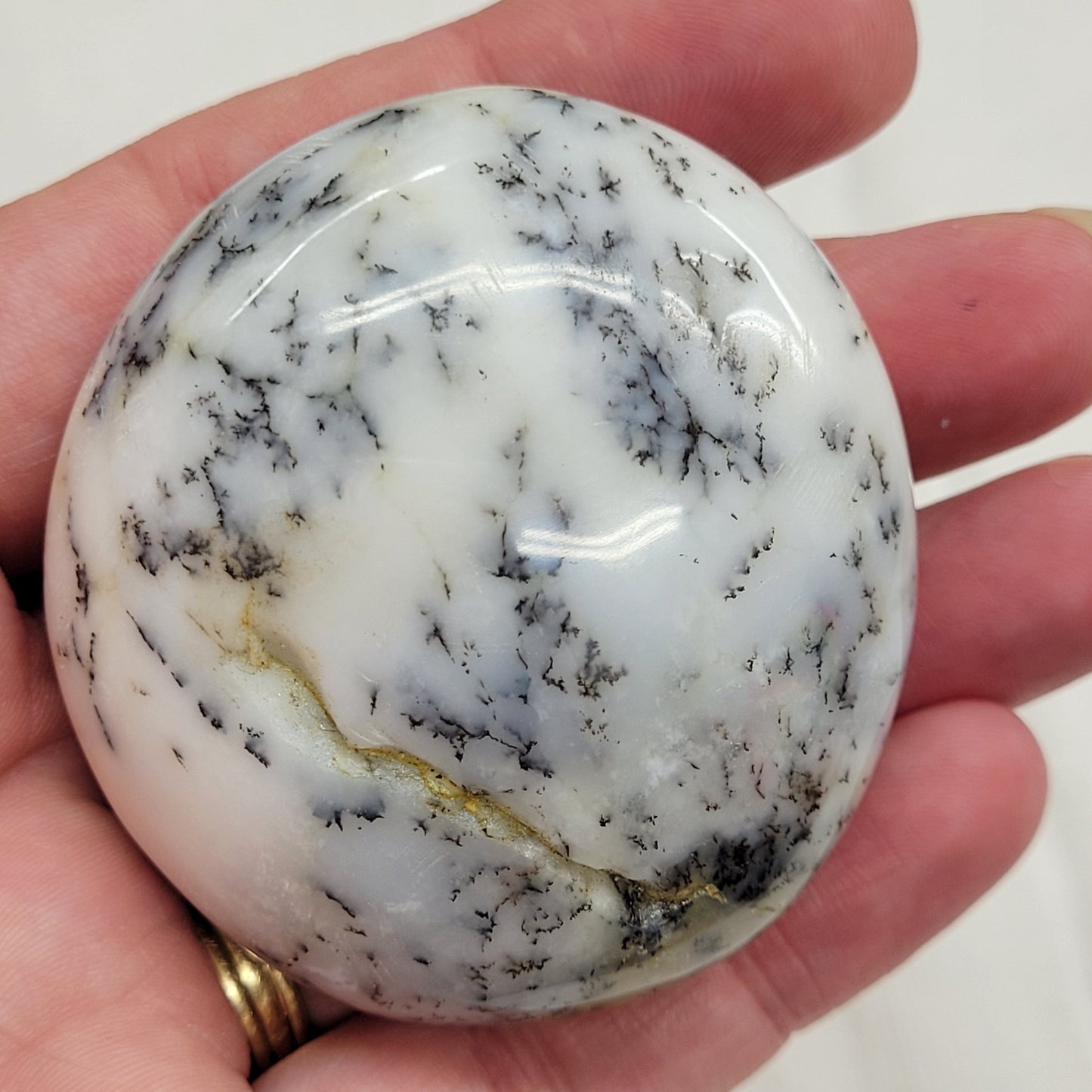 Palm - Dendritic Opal