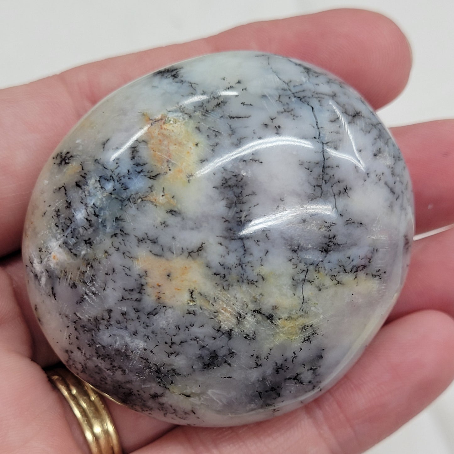 Palm - Dendritic Opal