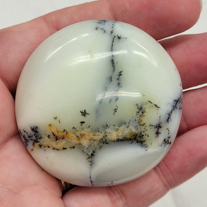 Palm - Dendritic Opal