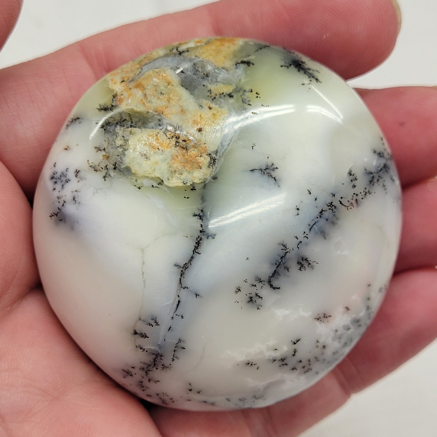 Palm - Dendritic Opal