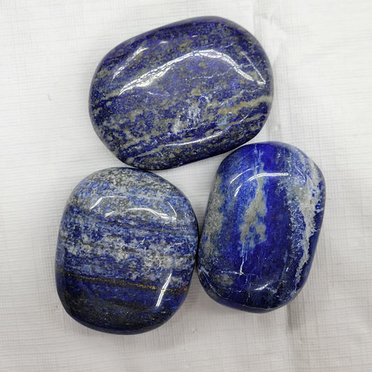 Palm - Lapis Lazuli