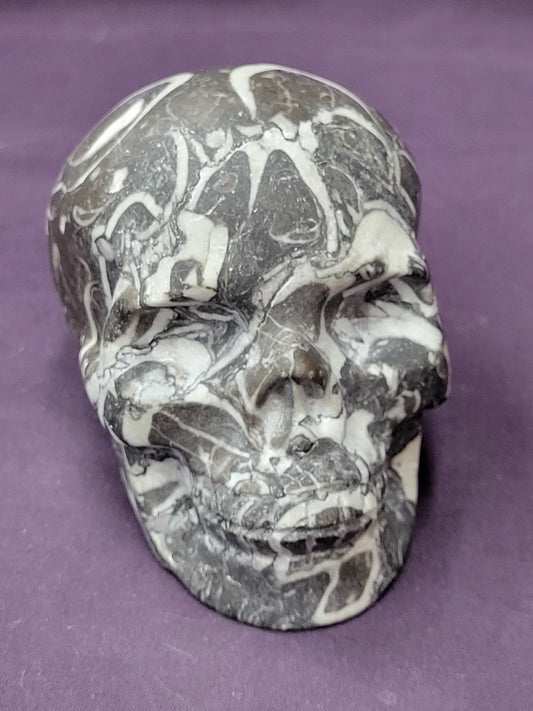 Thousand Eye (Shell Jasper) skull