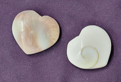 Shiva shell heart