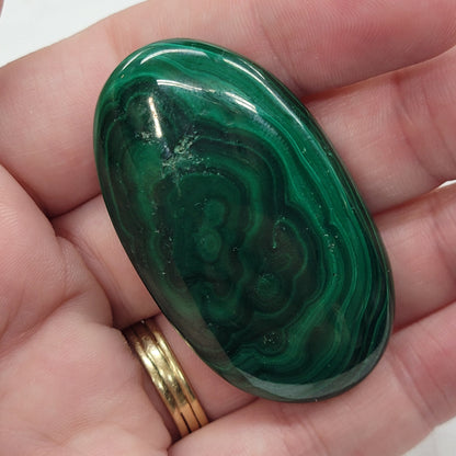 Palm - Malachite