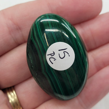 Palm - Malachite