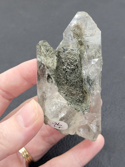 Chlorite included Quartz