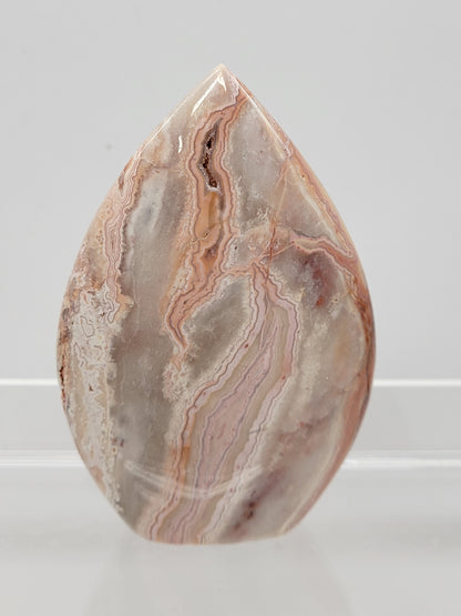 Pink Crazy Lace Agate teardrop