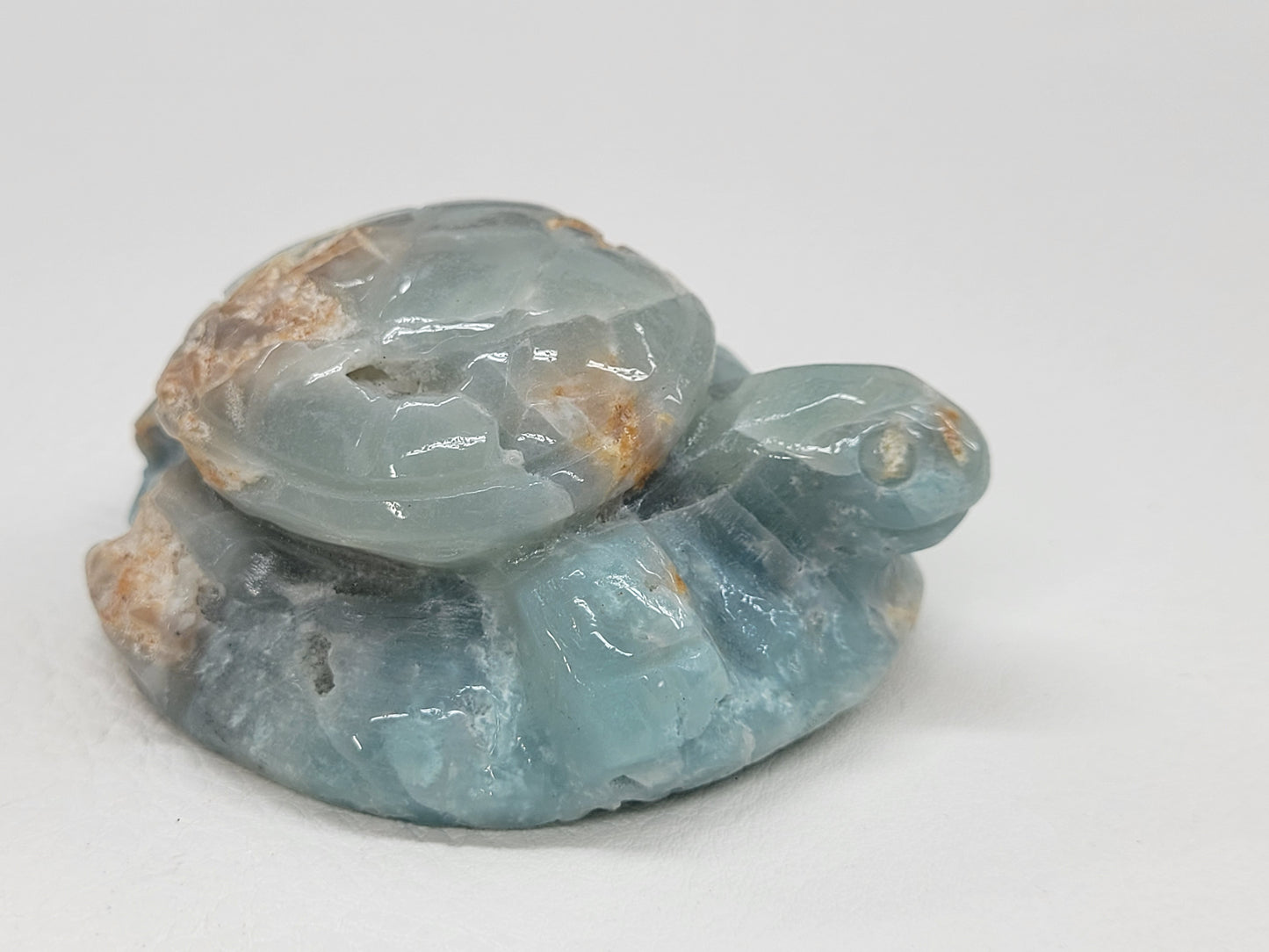 Sea turtle - Caribbean Calcite