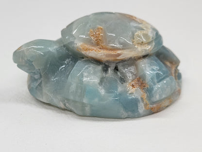 Sea turtle - Caribbean Calcite