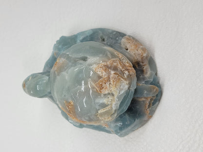 Sea turtle - Caribbean Calcite