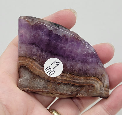 Amethyst w/ Agate sea life carvings