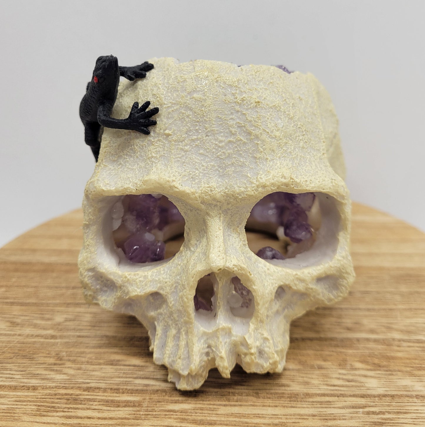 Decorative skull w/ Amethyst pieces