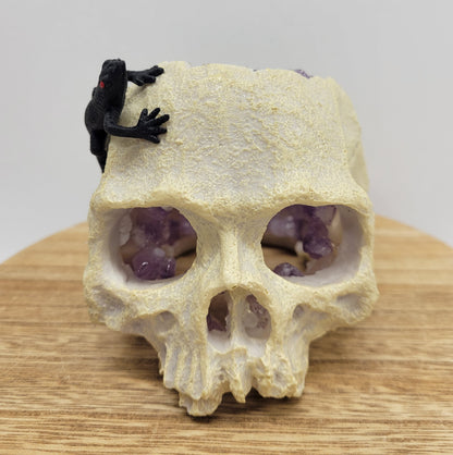 Decorative skull w/ Amethyst pieces