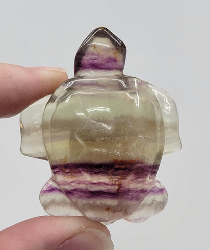 Sea turtle - Fluorite (medium)