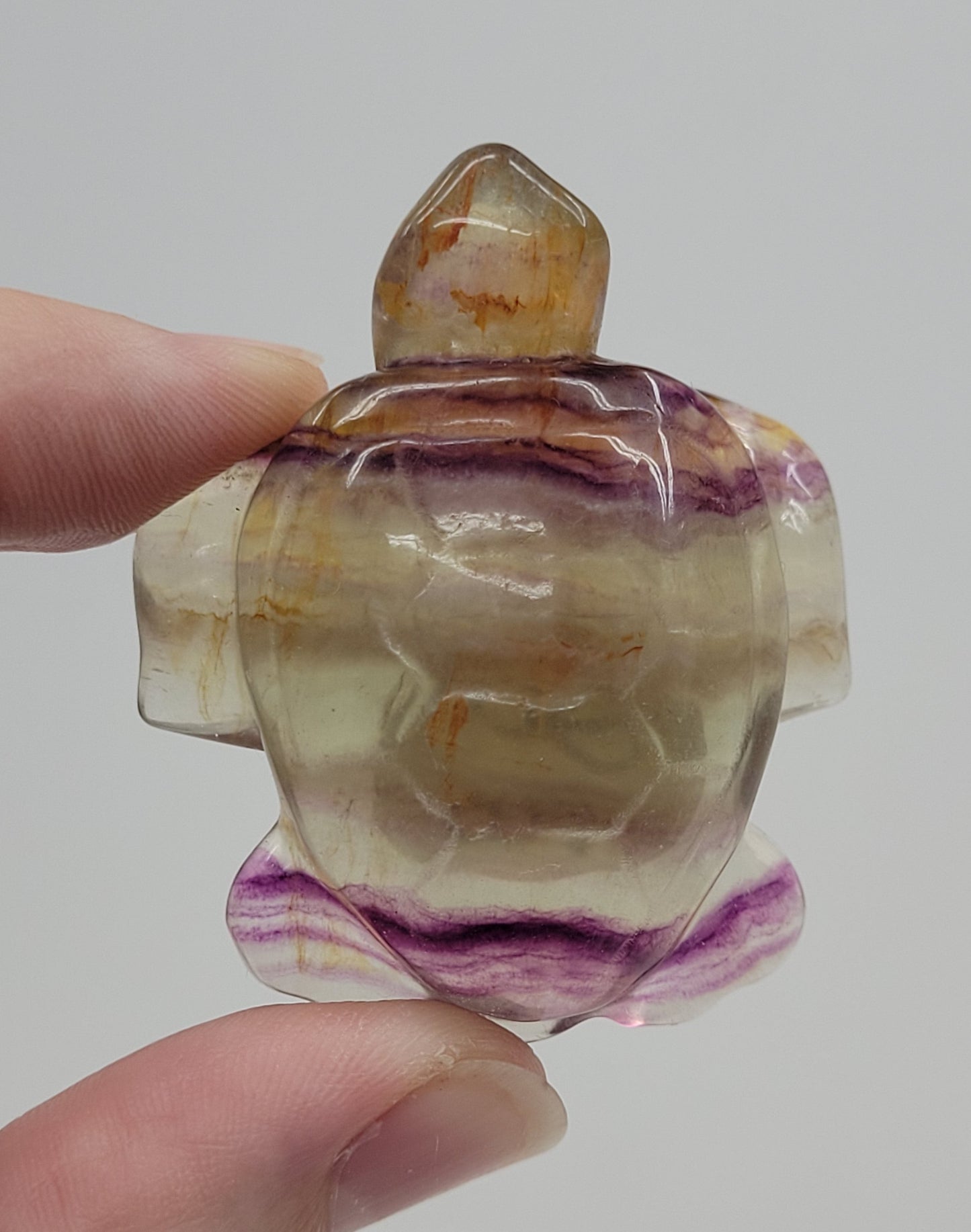 Sea turtle - Fluorite (medium)