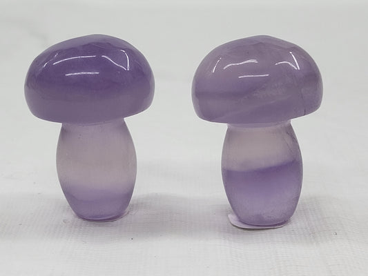 Fluorite mushrooms