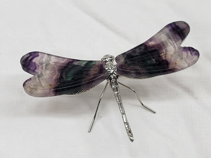 Dragonfly wings