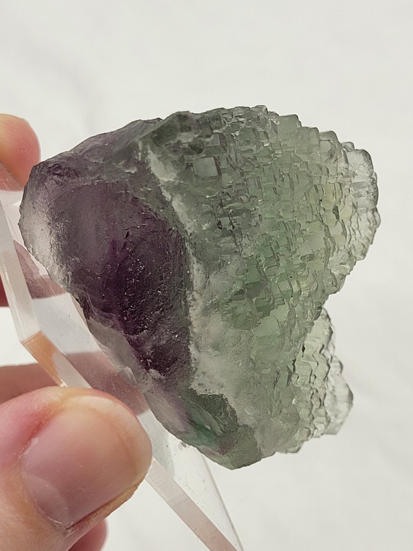 Green Stepped Fluorite specimen