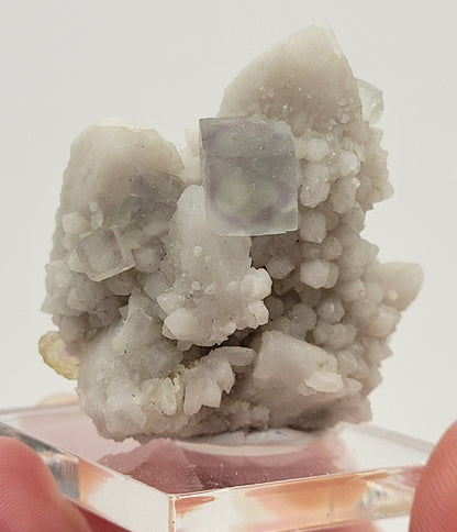 Fluorite on Candle Quartz