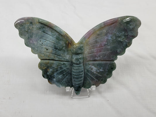 Ocean Jasper butterfly