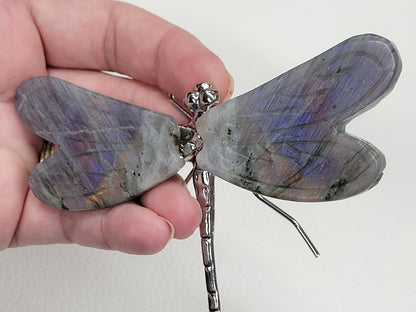 Dragonfly wings