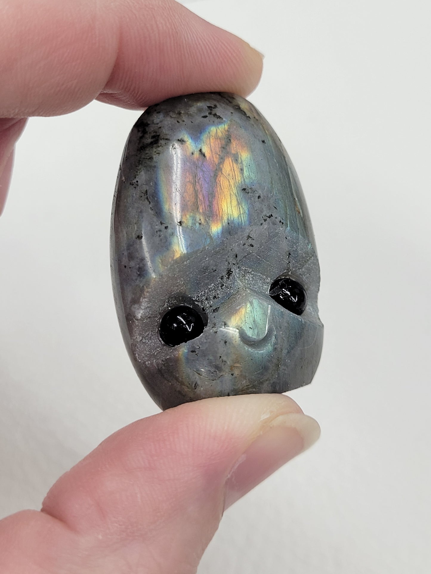 Hedgie - Labradorite