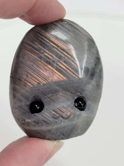 Hedgie - Labradorite