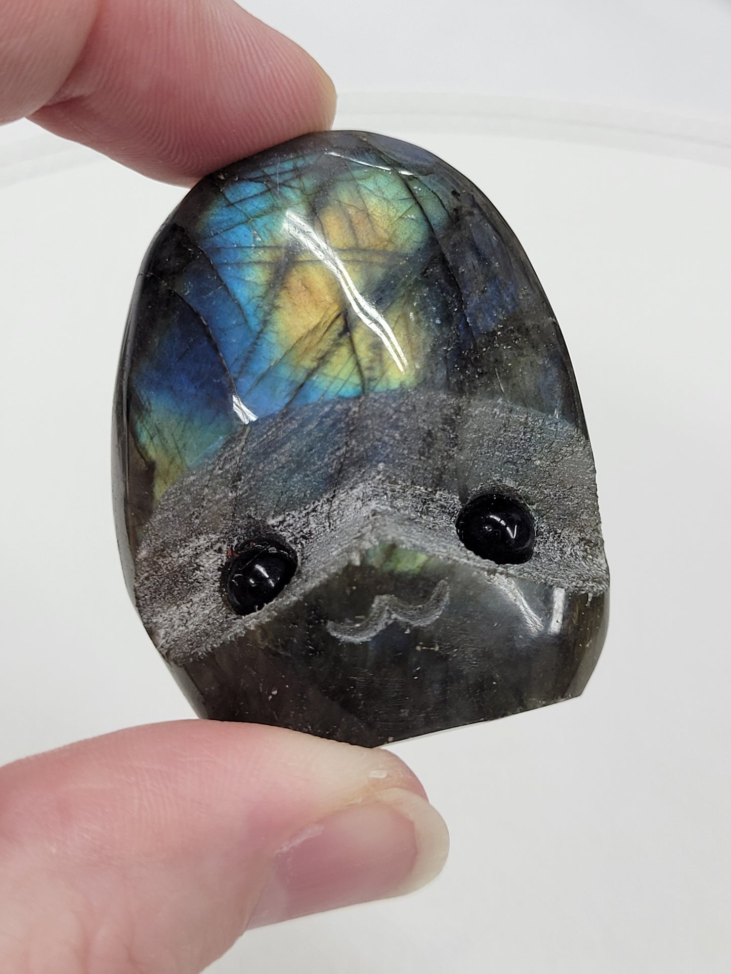 Hedgie - Labradorite