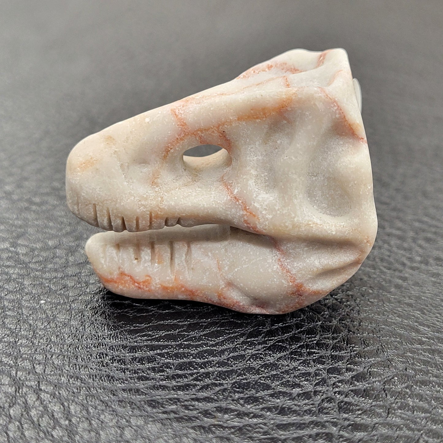 T-Rex skull carvings - small