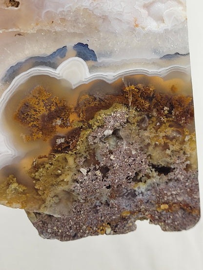 Slab - Scenic Moss Agate