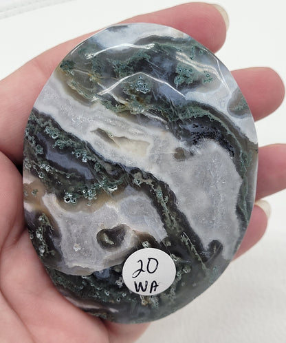 Palm - Moss Agate