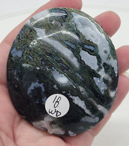 Palm - Moss Agate