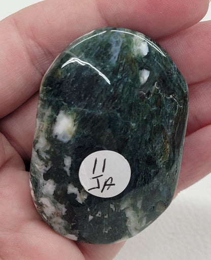 Palm - Moss Agate