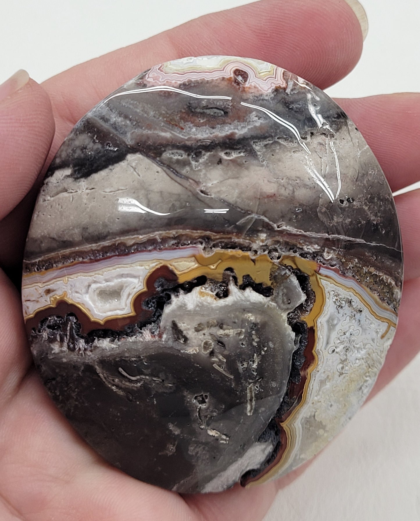 Palm - Mexican Agate