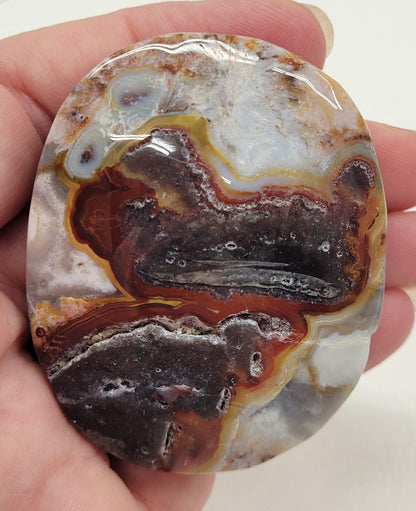 Palm - Mexican Agate