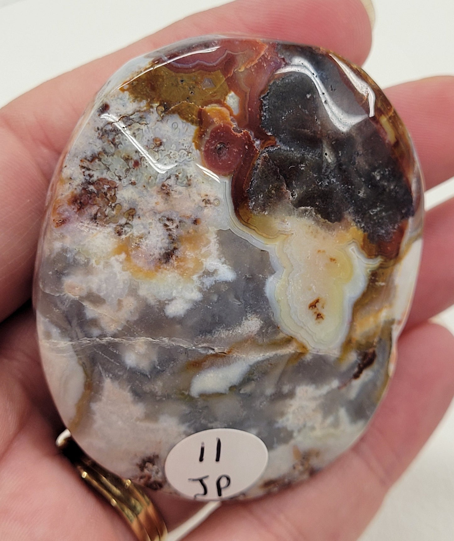 Palm - Mexican Agate