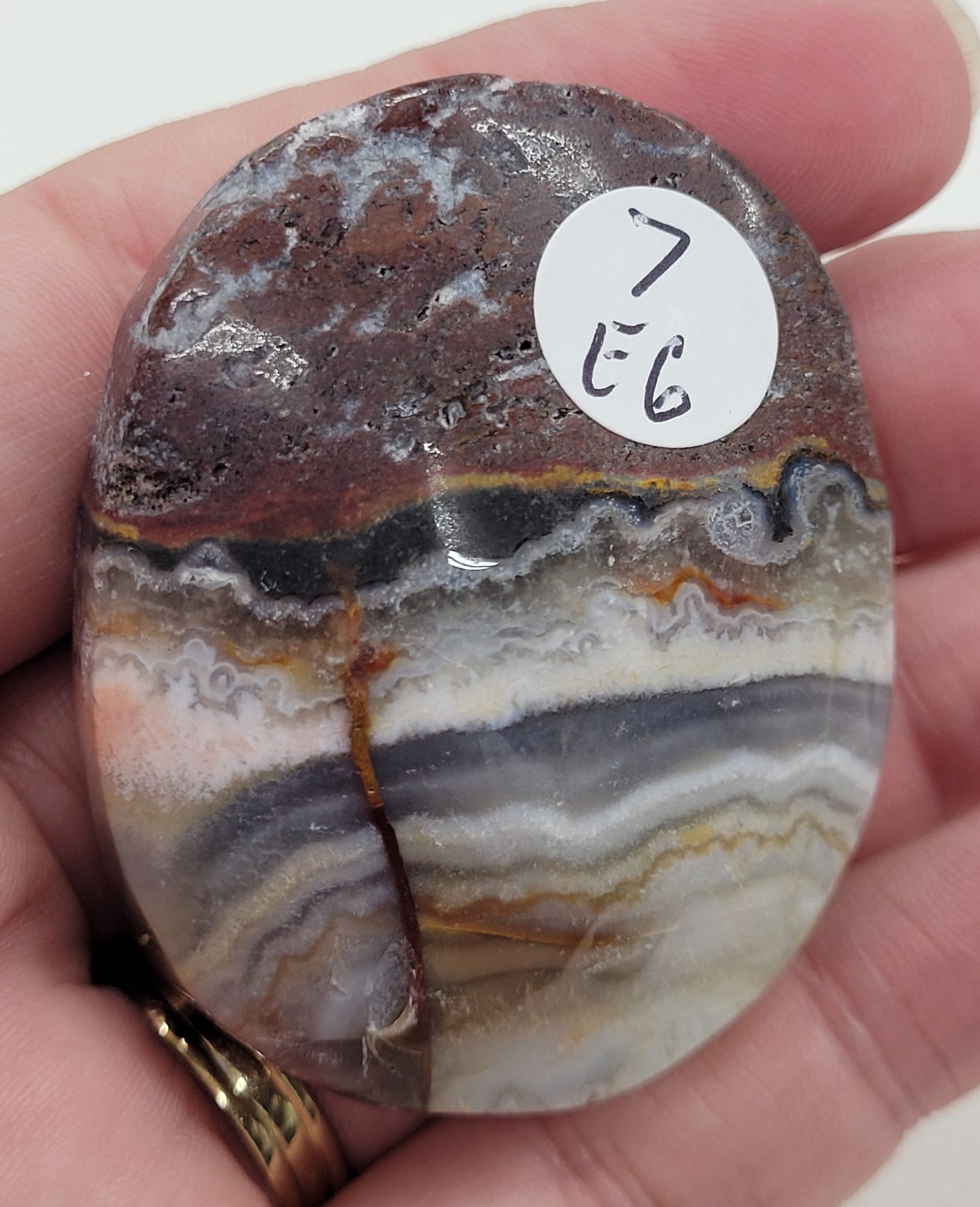 Palm - Mexican Agate