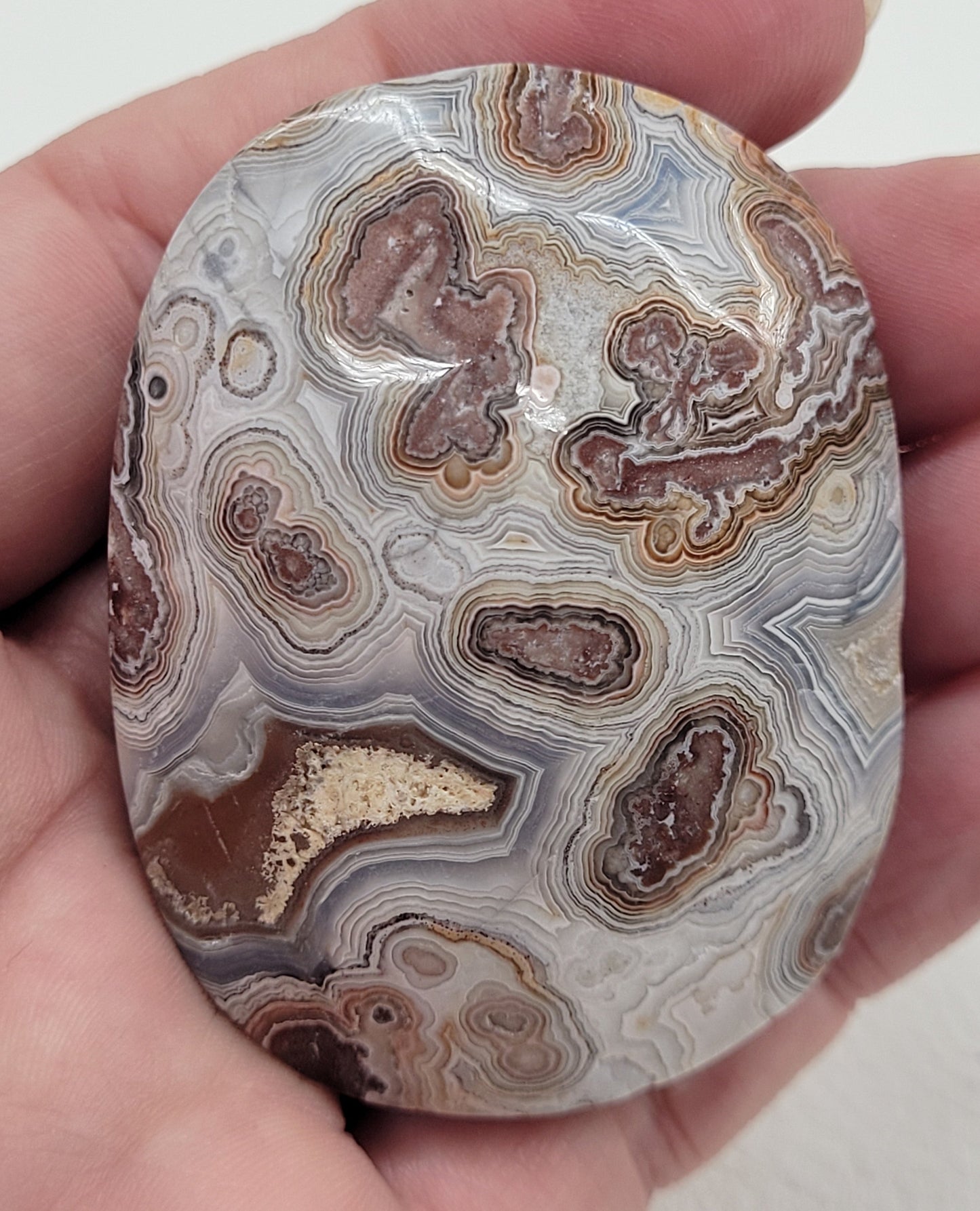 Palm - Mexican Agate