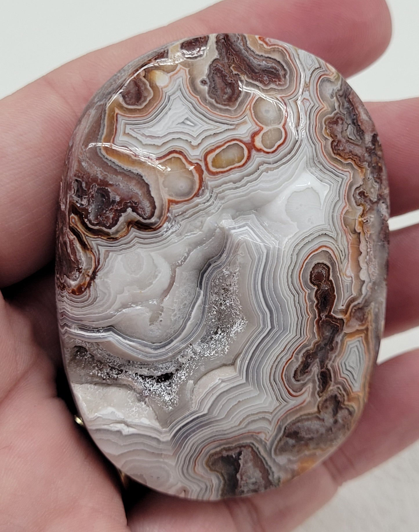 Palm - Mexican Agate