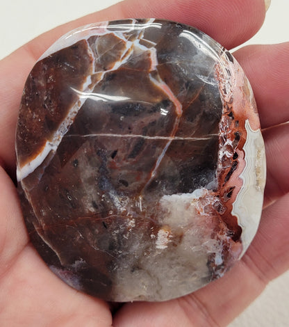 Palm - Mexican Agate