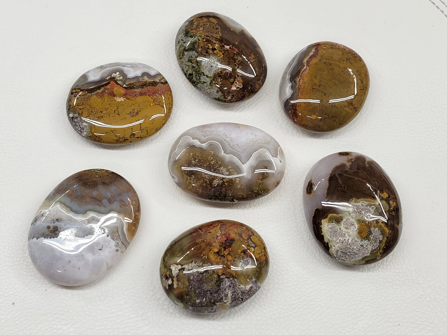 Scenic Moss Agate palms