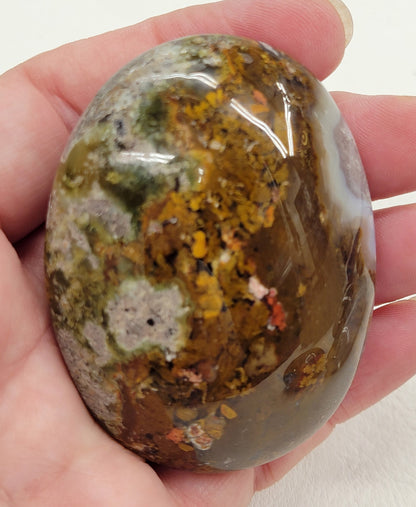 Scenic Moss Agate palms