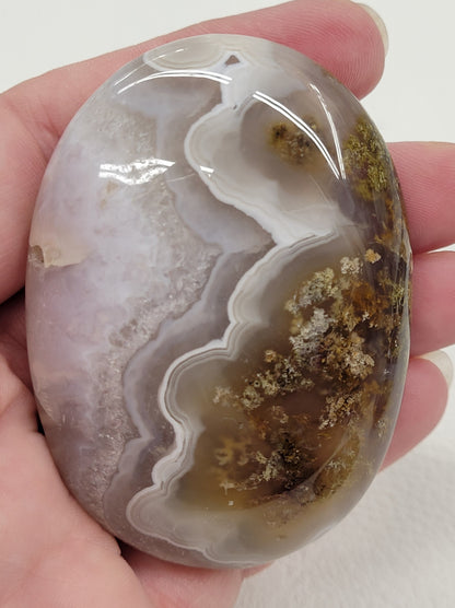 Scenic Moss Agate palms