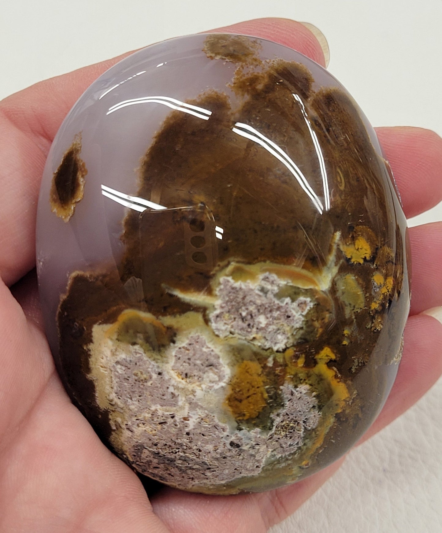 Scenic Moss Agate palms