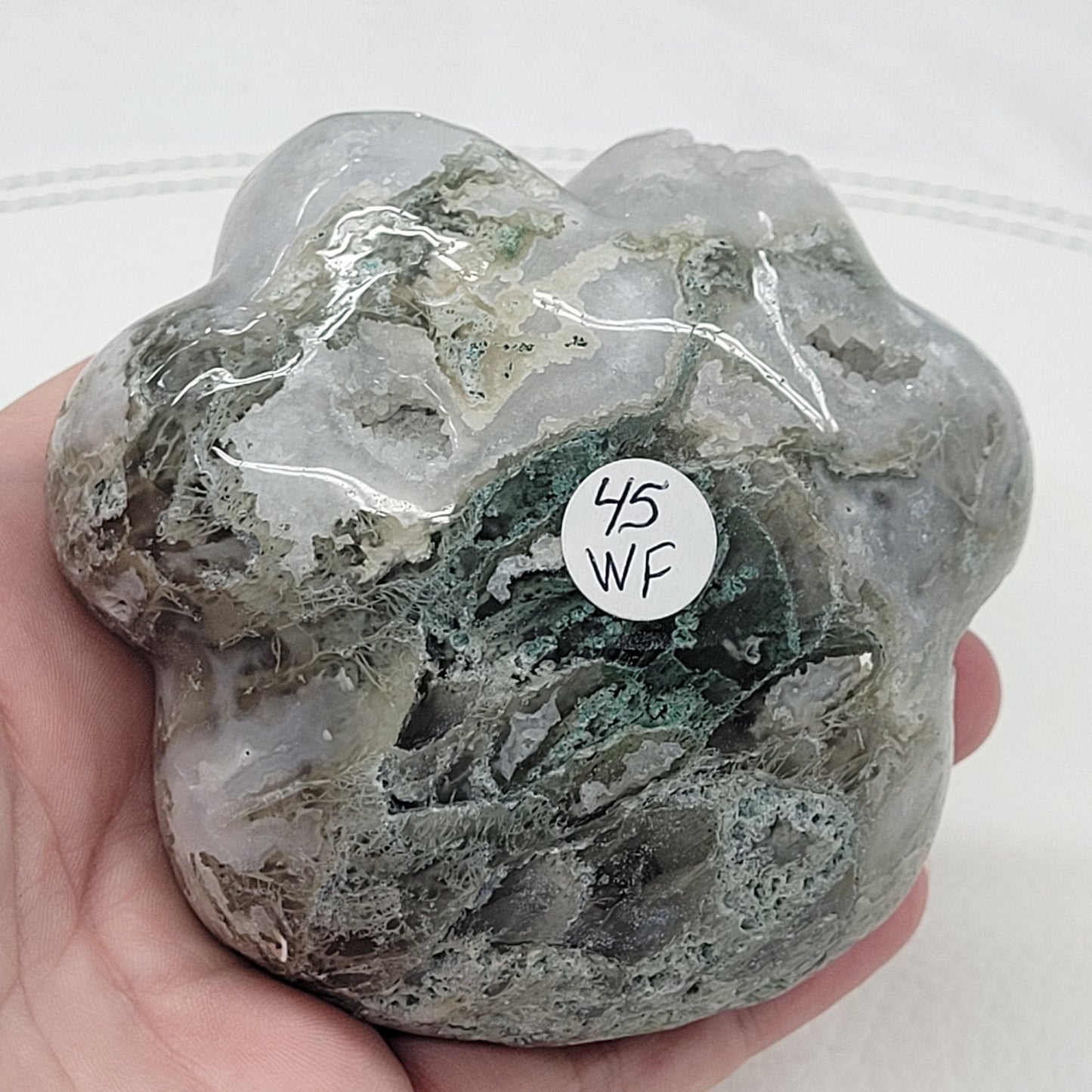 Paw print Moss Agate (XL)